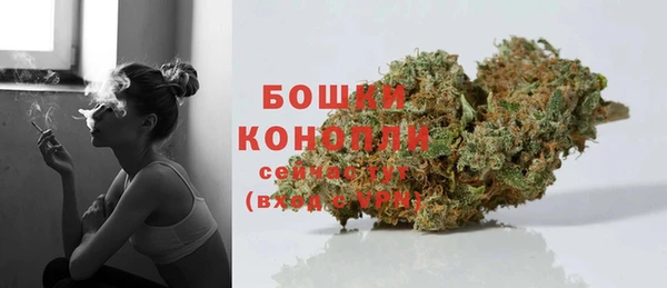 ГАЛЛЮЦИНОГЕННЫЕ ГРИБЫ Покров