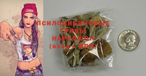 метадон Новодвинск