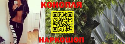 гидропоника Канаш
