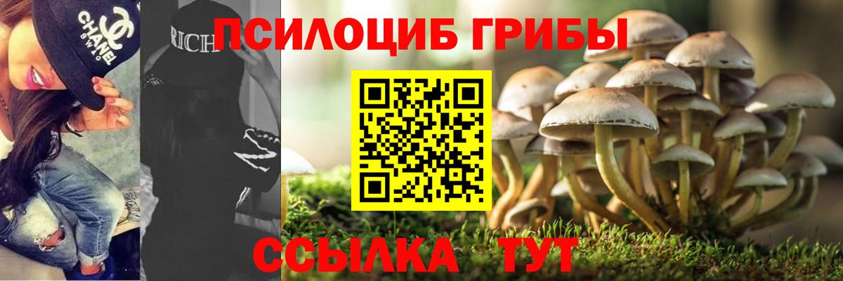 Псилоцибиновые грибы MAGIC MUSHROOMS  Семилуки 