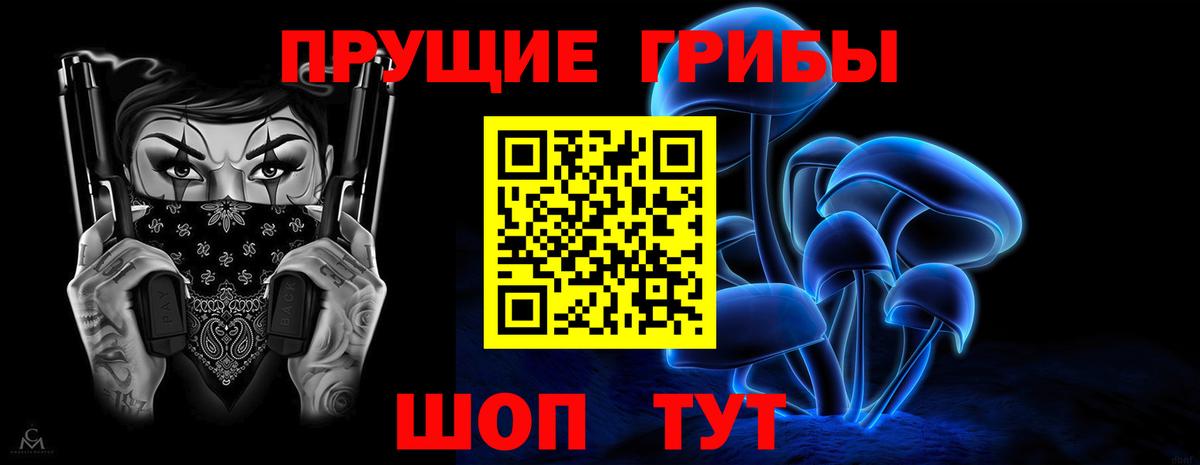 Псилоцибиновые грибы мицелий Семилуки